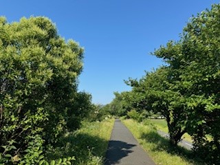 240614河川敷 